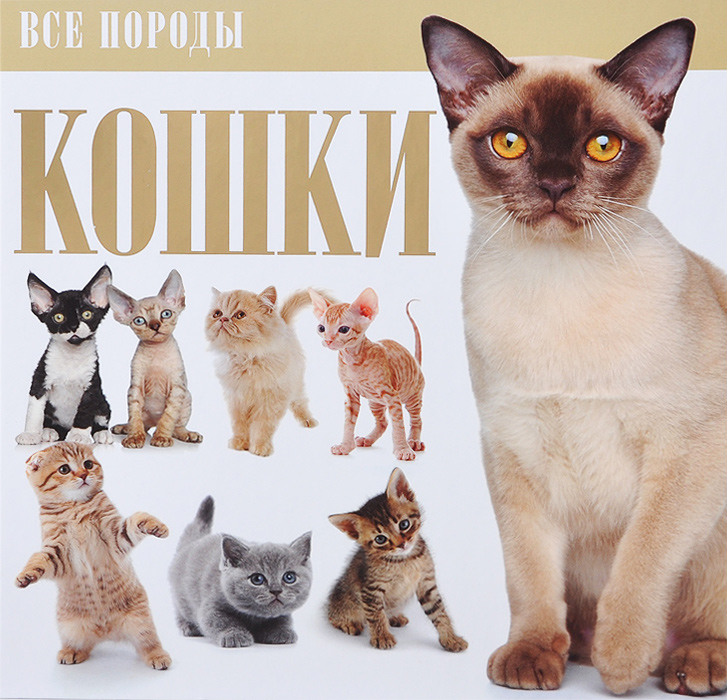 Книга Кошки - купить книгу кошки от в книжном интернет магазине с доставкой по выгодной цене