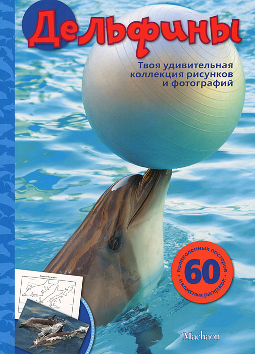 Мои любимые фотографии и рисунки Мои любимые фотографии и рисунки