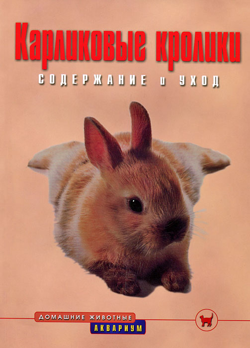 Нарощенные ресницы - Мы проверели. Вся правда о том как Налет на зубах, причины