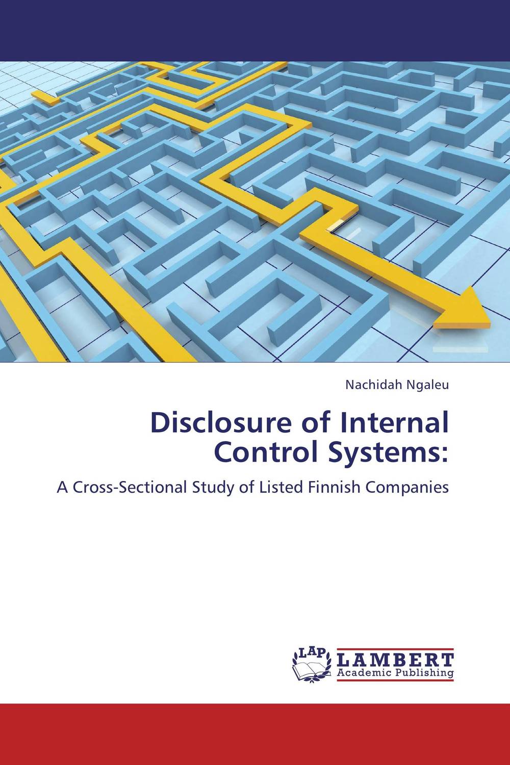 Фото Disclosure of Internal Control Systems:. Купить  в РФ