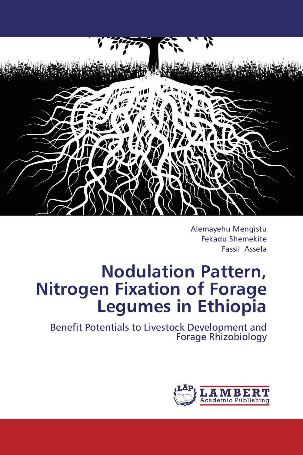 Фото Nodulation Pattern, Nitrogen Fixation of Forage Legumes in Ethiopia. Купить  в РФ