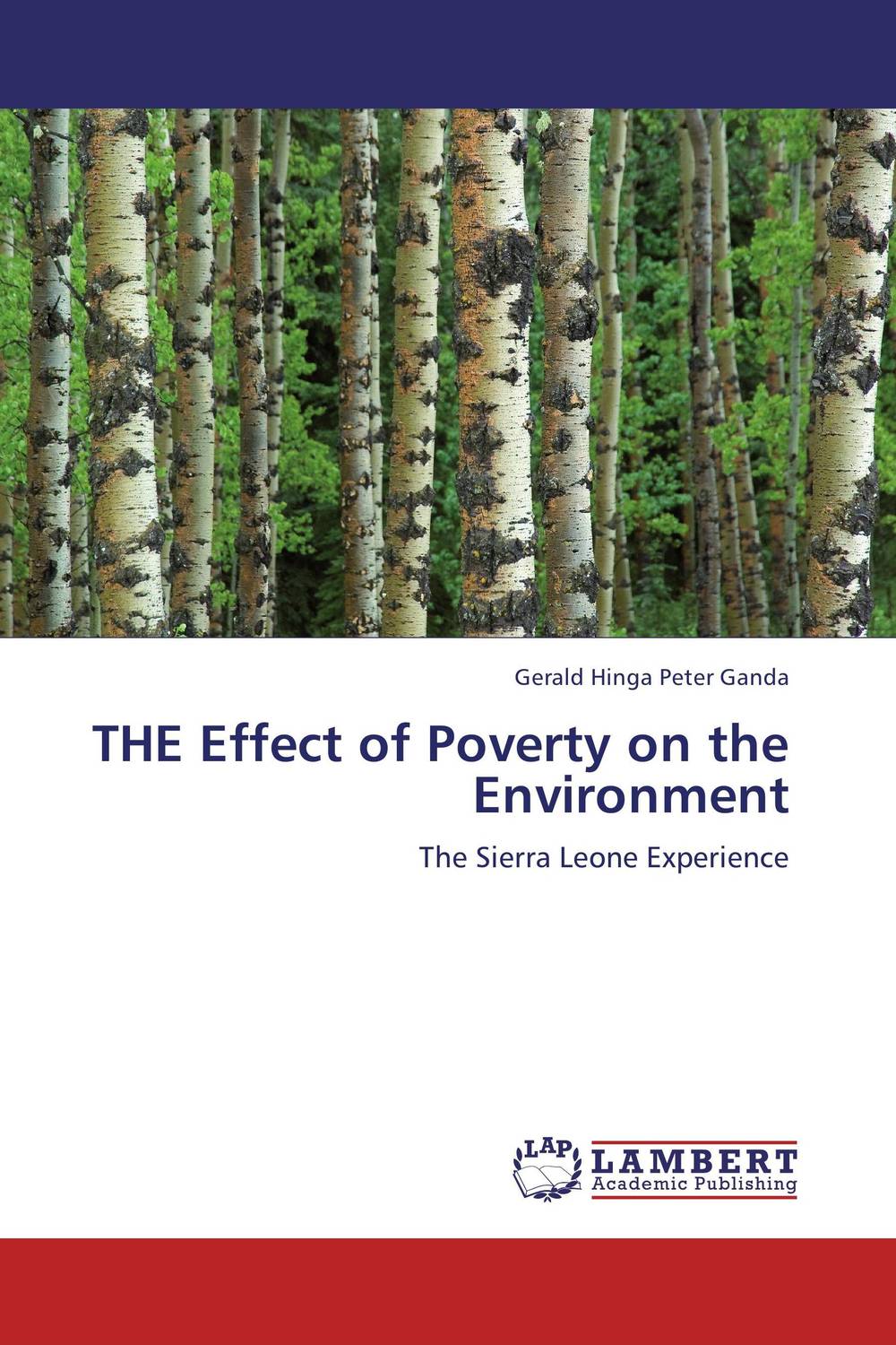 Фото THE Effect of Poverty on the Environment. Купить  в РФ