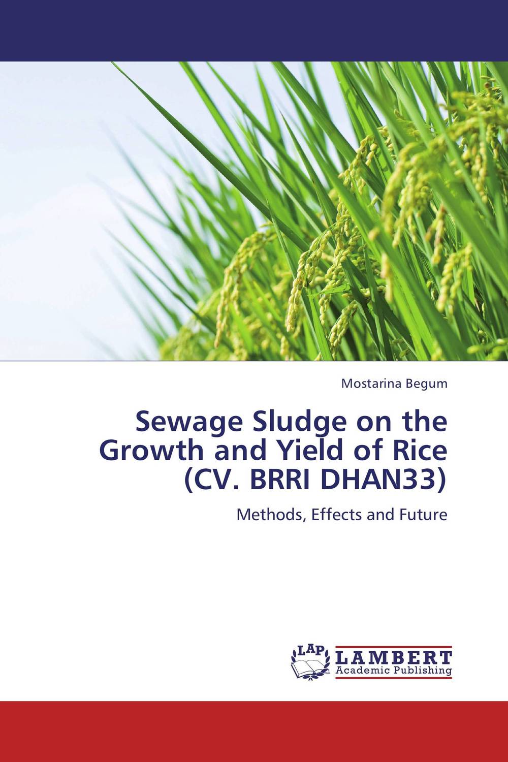 Фото Sewage Sludge on the Growth and Yield of Rice (CV. BRRI DHAN33). Купить  в РФ
