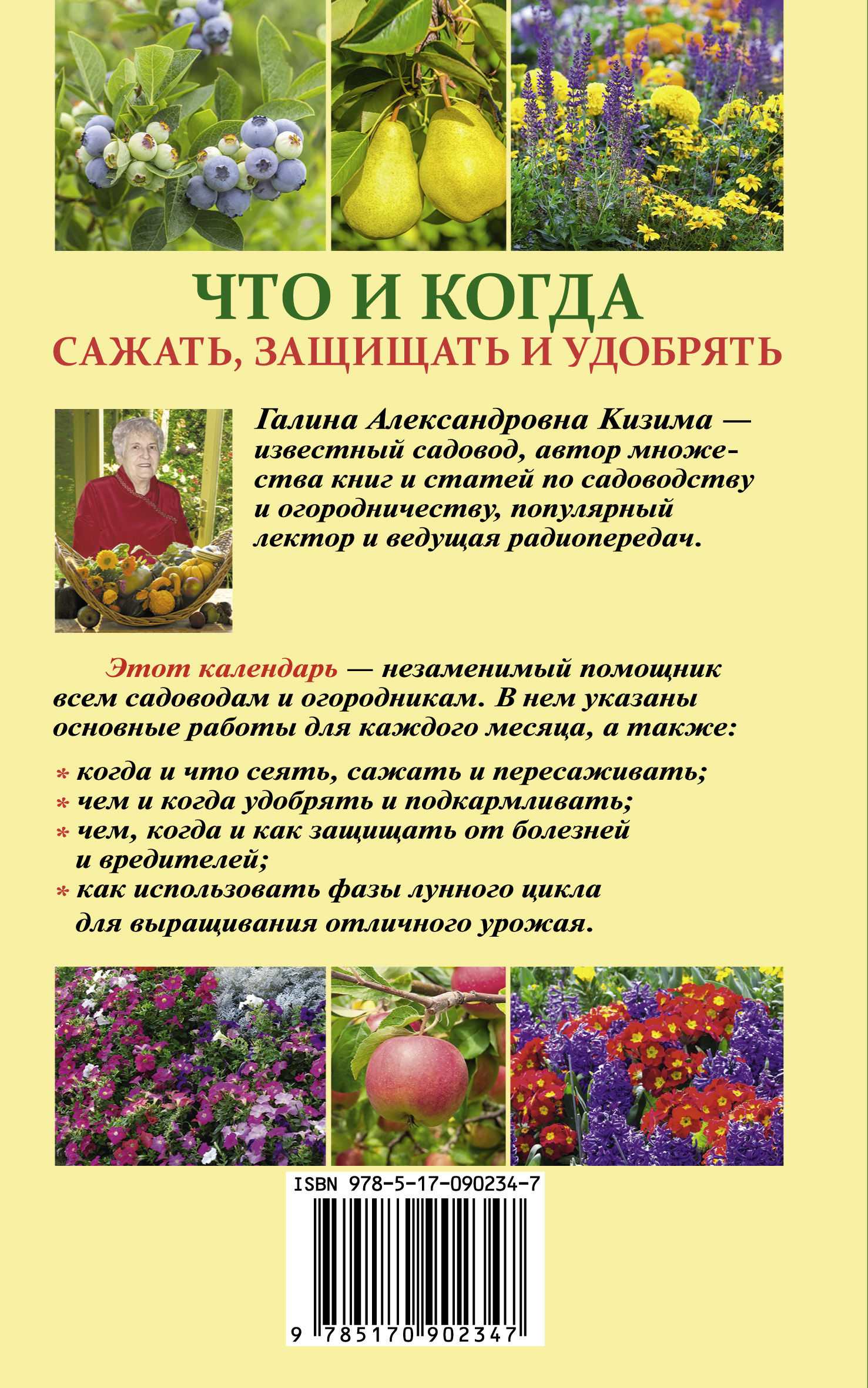 50 подарков 50 50 подарков 62