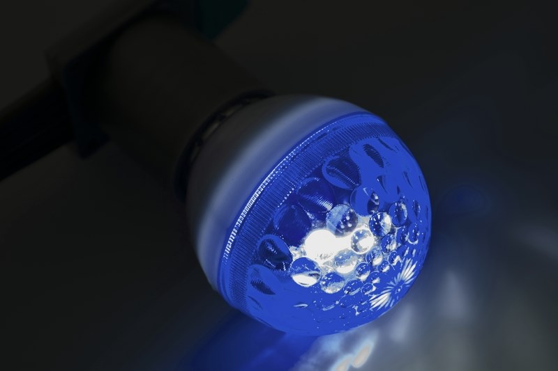 Фото Лампа строб "Neon-Night", цоколь Е27, цвет: синий, диаметр 50 мм. Купить  в РФ