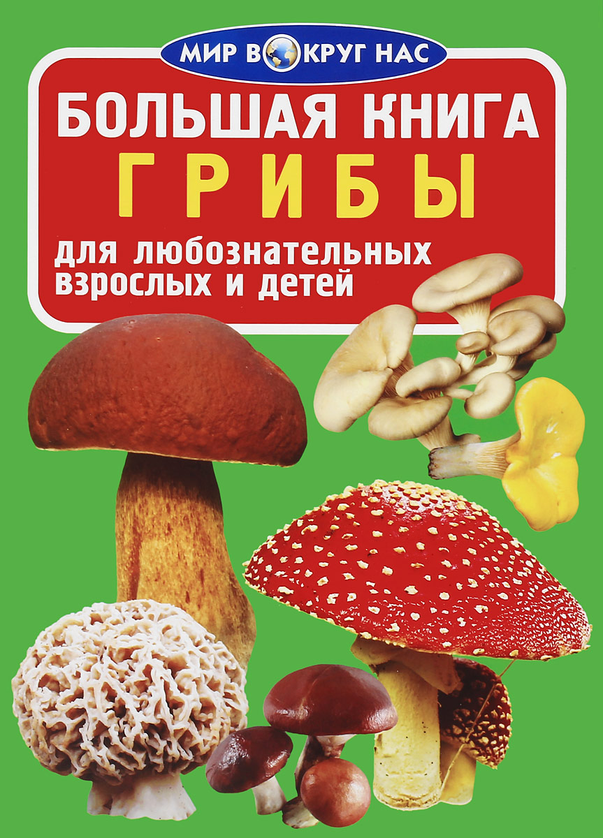 Купить Большой Справочник Грибов В Интернет Магазине