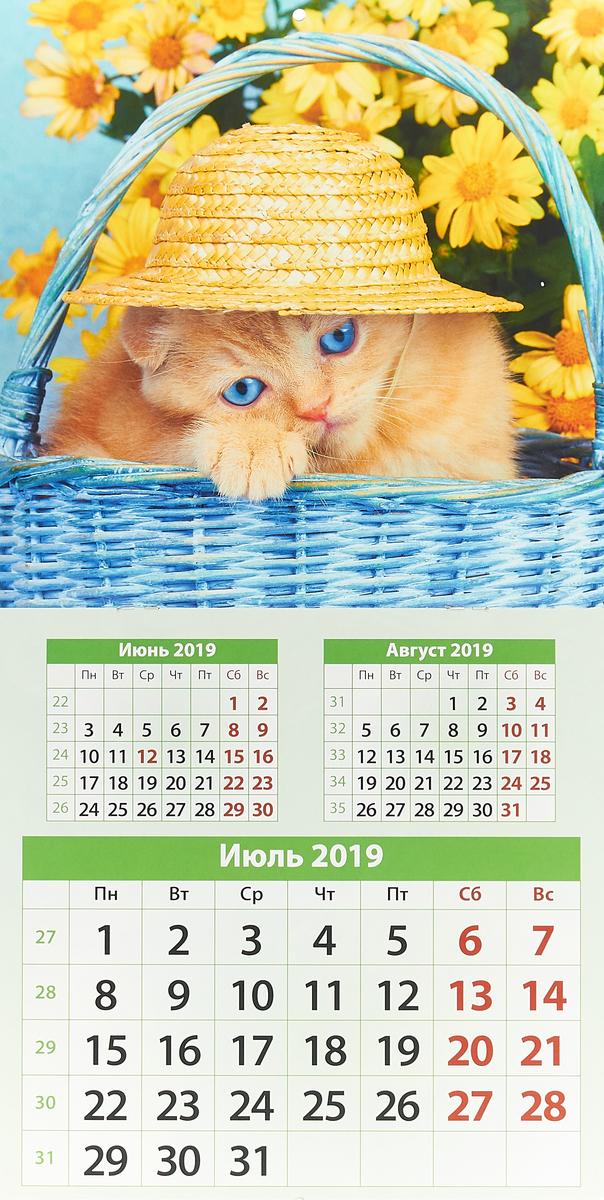 Дата знакомства 4 августа 2019 года года 4 2019 знакомства дата августа
