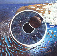 Pink Floyd. Pulse (2 CD) - купить аудиозапись на cd Pink Floyd. Pulse (2 CD) 2000 на лицензионном диске Audio CD в интернет магазине Ozon.ru