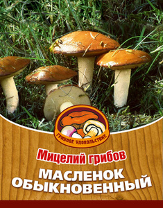 Мицелий грибов "Масленок обыкновенный", субстрат. Объем 60 мл - купить по выгодной цене с доставкой. Товары для сада и загородного дома от Грибное удовольствие в интернет-магазине OZON.ru