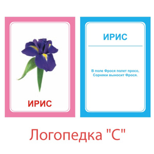 Купить Набор логопедических карточек "Логопедка: С" в интернет-магазине OZON.ru