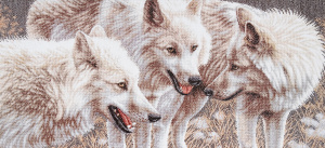 Купить Набор для вышивания крестом Чаривна Мить "Белые волки", 73 х 34 см в интернет-магазине OZON.ru