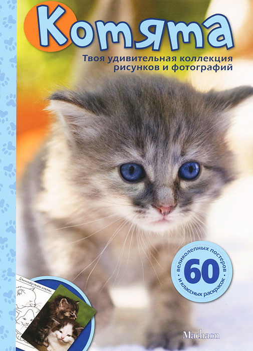 Мои любимые фотографии и рисунки Мои любимые фотографии и рисунки