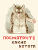 Книга "Посмотрите какие котята" Владимир Матвеев