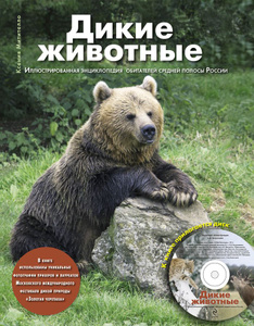 Книга "Дикие животные. Иллюстрированная энциклопедия обитателей средней полосы России (+ CD-ROM)" Ксения Митителло - купить книгу ISBN 978-5-699-65255-6 с доставкой по почте в интернет-магазине Ozon.ru