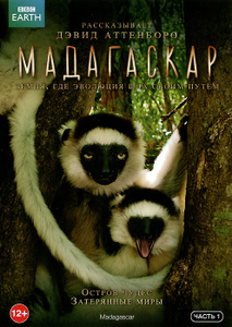 BBC: Мадагаскар, часть 1 - купить фильм Madagascar на лицензионном DVD или Blu-ray диске на Ozon.ru
