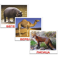 Комплект мини-карточек