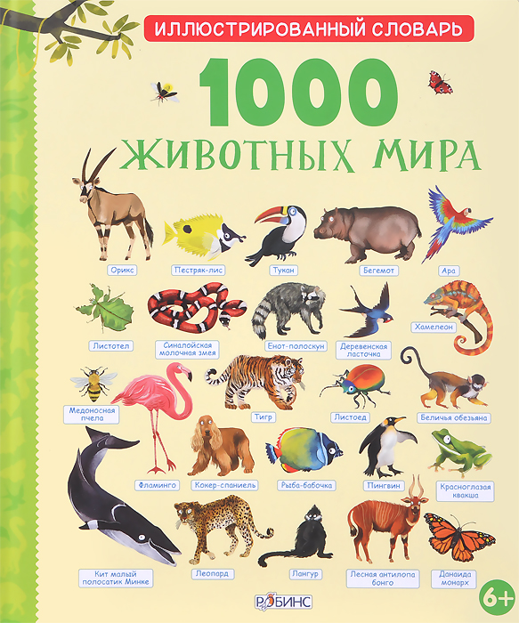 Книга