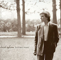 David Sylvian. Brilliant Trees