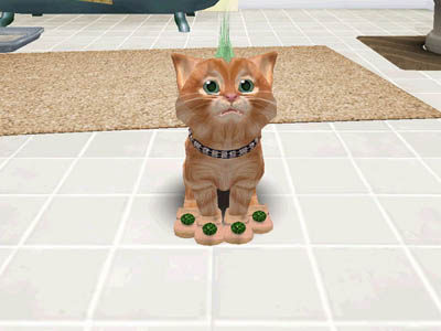 Catz (Wii)