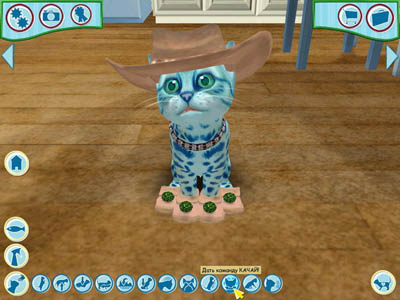 Catz (Wii)
