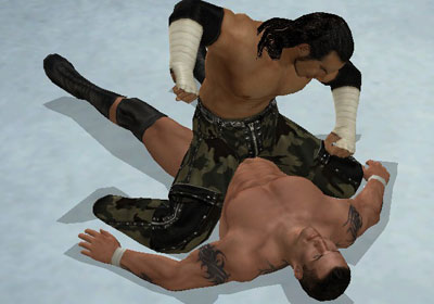 WWE SmackDown vs. Raw 2009 (Wii)