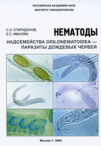 Нематоды надсемейства Drilonematoidea-паразиты дождевых червей. С. Э. Спиридонов, Е. С. Иванова