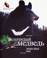 Белогрудый медведь / Asiatic Black Bear. Александр Баталов