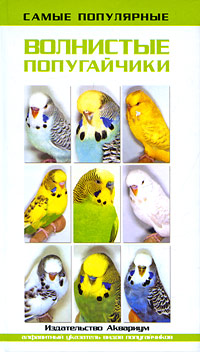 Самые популярные волнистые попугайчики. Тео Винс
