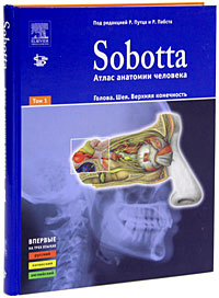 Sobotta. Атлас анатомии человека. В 2 томах. Том 1. Голова. Шея. Верхняя конечность