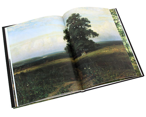 Шишкин Белый Город Купить Книгу