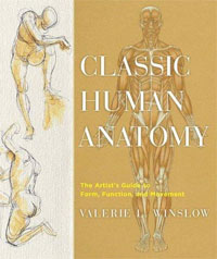 Classic Human Anatomy: The Artist's Guide to Form, Function, and Movement enlarging human lung alveolar medical model bronchus anatomy teaching kit