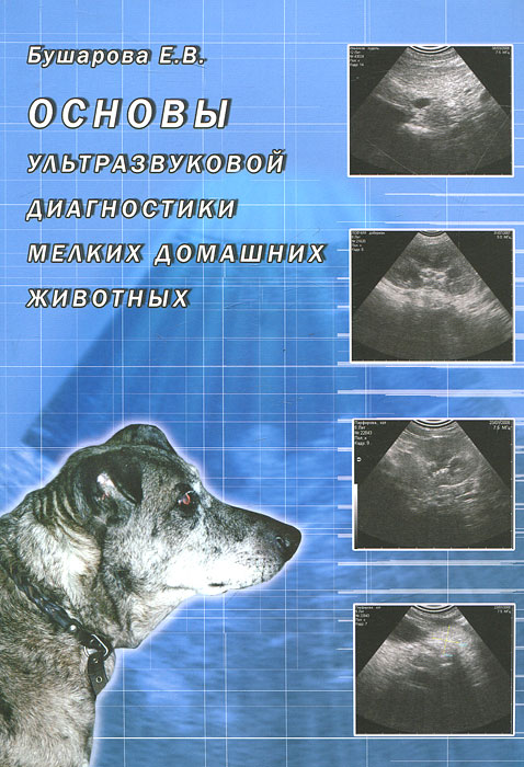 Основы ультразвуковой диагностики мелких домашних животных. Е. В. Бушарова