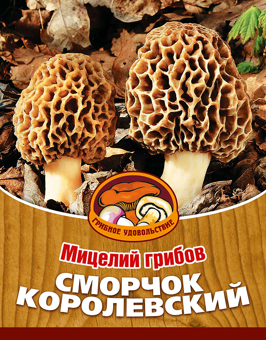 Мицелий грибов Сморчок королевский, субстрат. Объем 60 мл10004 Мицелий грибов Сморчок королевский, субстрат. Объем 60 мл10004Сморчок королевский считается главным грибом в странах Западной Европы и в Америке.Благодаря мицелию грибов Сморчок королевский теперь вы без труда сможете вырастить любимые грибы у себя в саду или дома. И уже через год после посадки у вас появится первый урожай грибов. За один год можно собрать до 5 кг грибов с 1 кв. метра. Для того чтобы вырастить грибы вам понадобится: мицелий Грибное удовольствие, грунт для комнатных растений, опилки, древесная зола, листья деревьев. Благоприятное время для посадки мицелия Сморчок королевский - с апреля по август.Плодоносят мицелии в среднем от 3 до 5 лет, в зависимости от сорта грибов. Характеристики:Материал:субстрат. Объем:60 мл. Размер упаковки:11 см х 15,5 см. Артикул:10004.