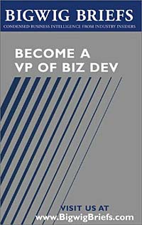 Bigwig Briefs: Become a VP of BizDev - Leading Deal Makers Reveal What it Takes to Get There, Stay There, and Empower Others That Work With You team work for business organization perfomance
