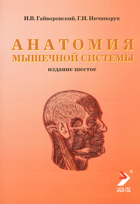 Анатомия мышечной системы. И. В. Гайворонский, Г. И. Ничипорук