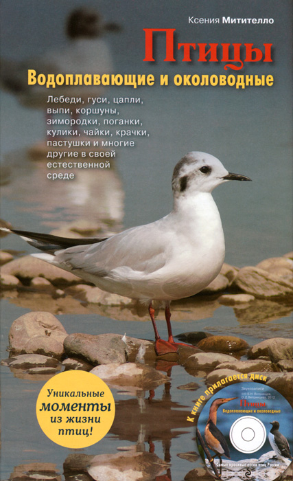 Птицы. Водоплавающие и околоводные (+ CD). Ксения Митителло