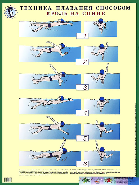 Техника плавания способом кроль на спине. Плакат