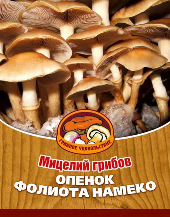 Мицелий грибов Опенок Фолиота Намеко, на 16 древесных палочках10039 Мицелий грибов Опенок Фолиота Намеко, на 16 древесных палочках10039Опенок Фолиота Намеко - японский вариант рыжиков или опят. У этого гриба прекрасный вкус и текстура. По мнению японцев, главное достоинство этих грибов заключается именно в их мягкости и скользкости. Это ощущение, может быть, с точки зрения европейца и экзотично, но оно стоит того, чтобы его испытать. Благодаря мицелию грибов Фолиота Намеко теперь вы без труда сможете вырастить любимые грибы у себя в саду или дома. И уже через 3-5 месяцев после посадки у вас появится первый урожай грибов. За один год можно собрать от 3 до 6 кг с каждого бревна. Для того чтобы вырастить грибы вам понадобится: мицелий Опенок Фолиота Намеко, бревно или палка лиственных пород (бук, тополь, береза, ива, клен, рябина и плодовые деревья) без признаков гнили. Благоприятное время для посадки мицелия Опенок Фолиота Намеко - в природных условиях с апреля по октябрь, в помещении - круглый год.Плодоносят мицелии волнами, до 3-4 лет на мягкой древесине, 5-7 лет на твердой. Характеристики:Материал:древесная палочка. Размер упаковки:11 см х 15,5 см х 1 см. Артикул:10039.