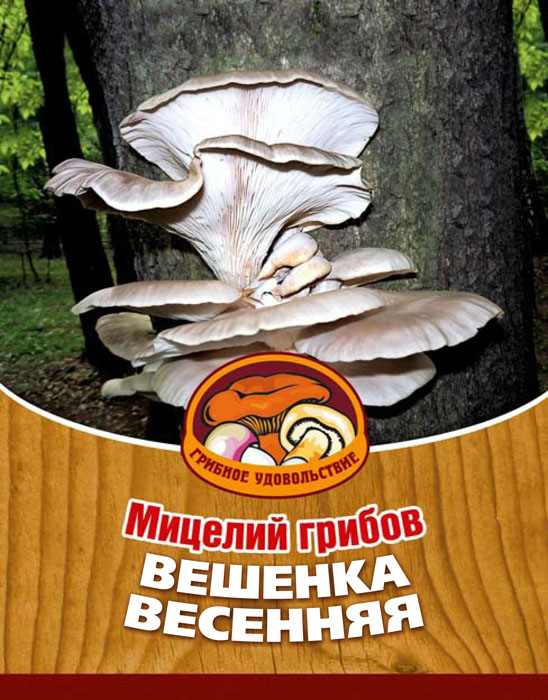 Мицелий грибов Вешенка весенняя, на 16 древесных палочках10037 Мицелий грибов Вешенка весенняя, на 16 древесных палочках10037Вешенка весенняя или легочная - наиболее часто встречающийся вид вешенок. Она произрастает от Тихого океана и до Карпатских гор, от Кавказа и до Полярного круга. Есть вешенку можно в тушеном, жареном, маринованном виде, в пирогах и супах; сушить и замораживать про запас.Благодаря мицелию грибов Вешенка весенняя теперь вы без труда сможете вырастить любимые грибы у себя в саду или дома. И уже через 3-6 месяцев после посадки у вас появится первый урожай грибов. За один год можно собрать от 3 до 6 кг с каждого бревна. Для того чтобы вырастить грибы вам понадобится: мицелий Вешенка весенняя, бревно или палка лиственных пород (бук, тополь, береза, ива, клен, рябина и плодовые деревья) без признаков гнили. Благоприятное время для посадки мицелия Вешенка весенняя - в природных условиях с апреля по октябрь, в помещении - круглый год.Плодоносят мицелии волнами, до 3-4 лет на мягкой древесине, 5-7 лет на твердой. Характеристики:Материал:древесная палочка. Размер упаковки:11 см х 15,5 см х 1 см. Артикул:10037.