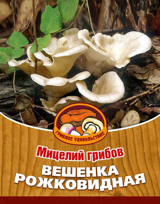 Мицелий грибов Вешенка рожковидная, на 16 древесных палочках10036 Мицелий грибов Вешенка рожковидная, на 16 древесных палочках10036Вешенка рожковидная - очень красивый гриб. Его характерная особенность состоит в сходстве плодового тела с пастушьим рожком, в связи с чем и дано такое название. Мякоть толстая, плотная, белая, с приятным вкусом и запахом. Благодаря мицелию грибов Вешенка рожковидная теперь вы без труда сможете вырастить любимые грибы у себя в саду или дома. И уже через 3-6 месяцев после посадки у вас появится первый урожай грибов. За один год можно собрать от 3 до 6 кг с каждого бревна. Для того чтобы вырастить грибы вам понадобится: мицелий Вешенка рожковидная, бревно или палка лиственных пород (бук, тополь, береза, ива, клен, рябина и плодовые деревья) без признаков гнили. Плодоносят мицелии волнами, до 3-4 лет на мягкой древесине (тополь, береза, ива), 5-7 лет на твердой (бук, клен, рябина). Характеристики:Материал:древесная палочка. Размер упаковки:11 см х 15,5 см х 1 см. Артикул:10036.