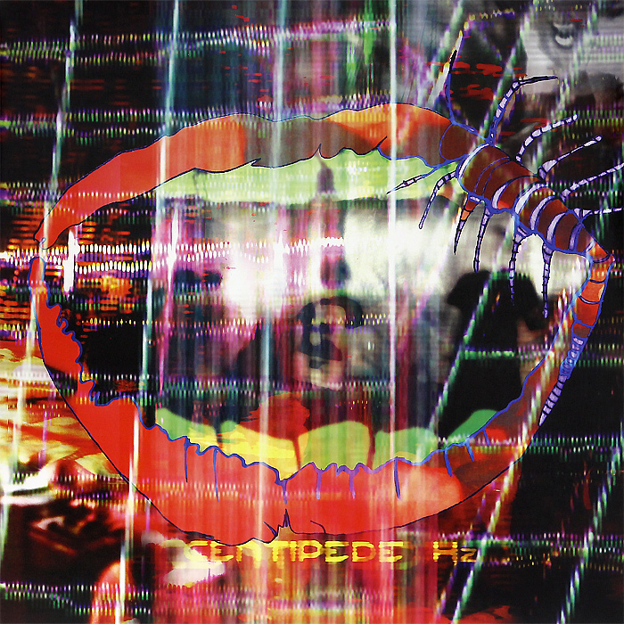 Animal Collective. Centipede Hz. Limited Edition Deluxe (2 LP + DVD)