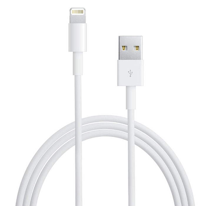 Apple Lightning to USB Cable (MD818ZM/A)