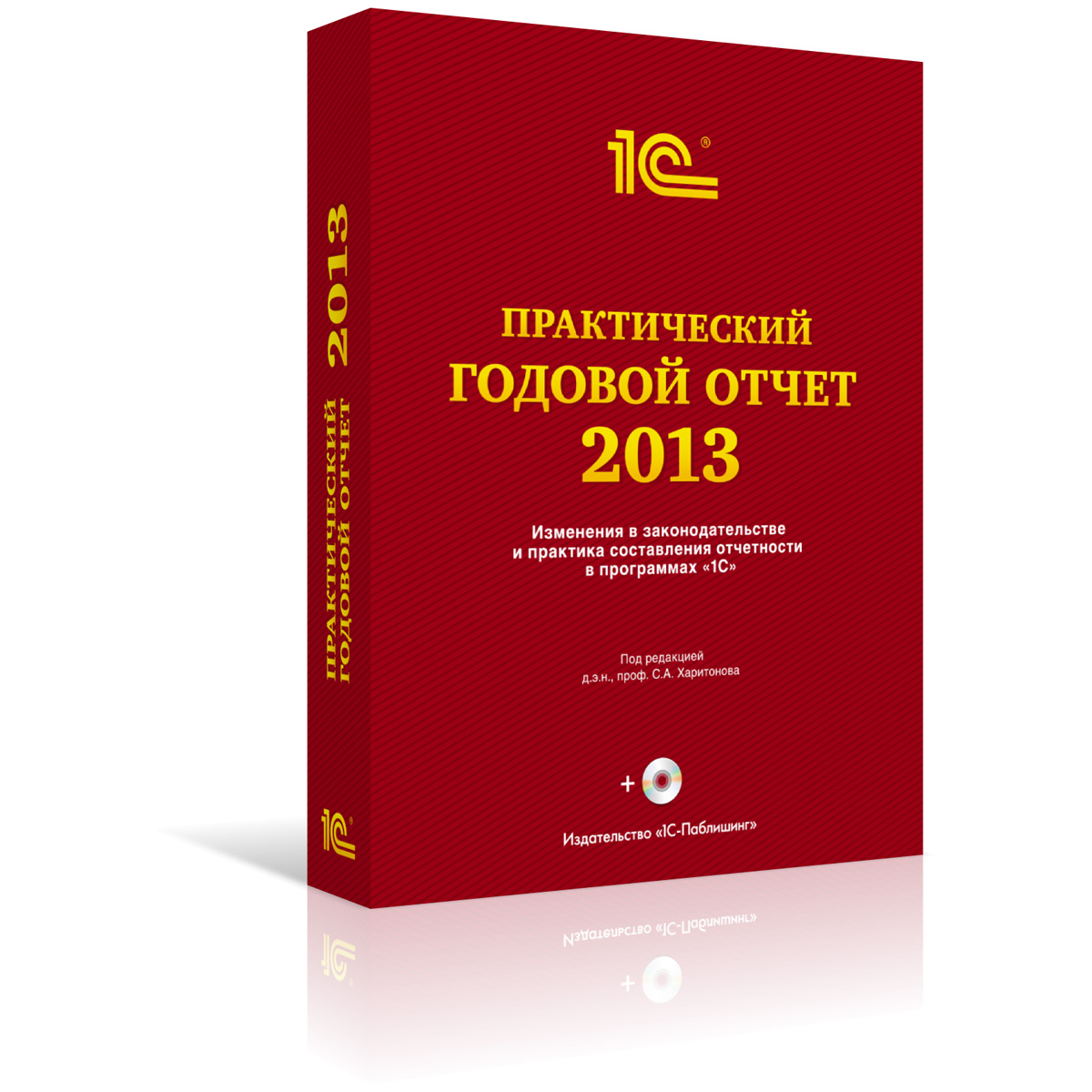 Практический годовой отчет за 2013 год от фирмы 