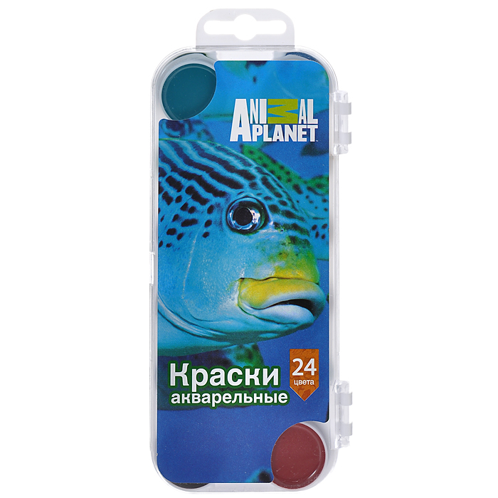 Акварель медовая Action! Animal Planet, 24 цветаAP-WP24/2 Акварель медовая Action! Animal Planet, 24 цветаAP-WP24/2Медовые акварельные краски Action! Animal Planet идеально подойдут для детского художественного творчества, изобразительных и оформительских работ. Краски легко размываются, создавая прозрачный цветной слой, легко смешиваются между собой, не крошатся и не смазываются, быстро сохнут.В набор входят краски 24 ярких насыщенных цвета, упакованных в коробку с европодвесом.В процессе рисования у детей развивается наглядно-образное мышление, воображение, мелкая моторика рук, творческие и художественные способности, вырабатывается усидчивость и аккуратность. Характеристики: Размер упаковки: 8 см x 1,5 см x 18,5 см.Изготовитель: Украина.Уважаемые клиенты! Обращаем ваше внимание на то, что упаковка может иметь несколько видов дизайна. Поставка осуществляется в зависимости от наличия на складе.