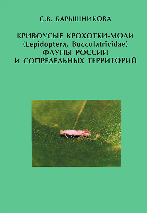 Кривоусые крохотки-моли (Lepidoptera, Bucculatricidae) фауны России и сопредельных территорий. С. В. Барышникова