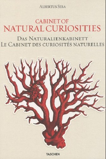 Albertus Seba: Cabinet Natural Curiosities