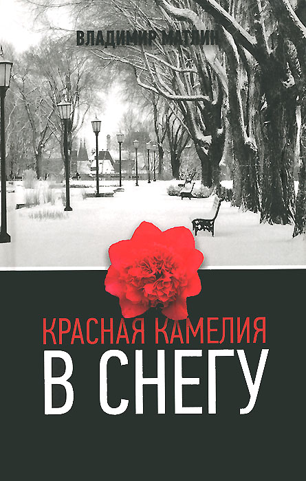 Красная камелия в снегу. Владимир Матлин
