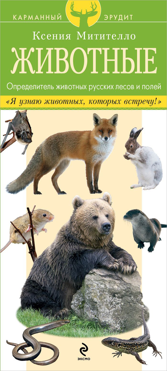 Животные России Справочник