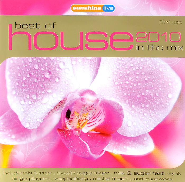 Best Of House 2010 In The Mix (2 CD)