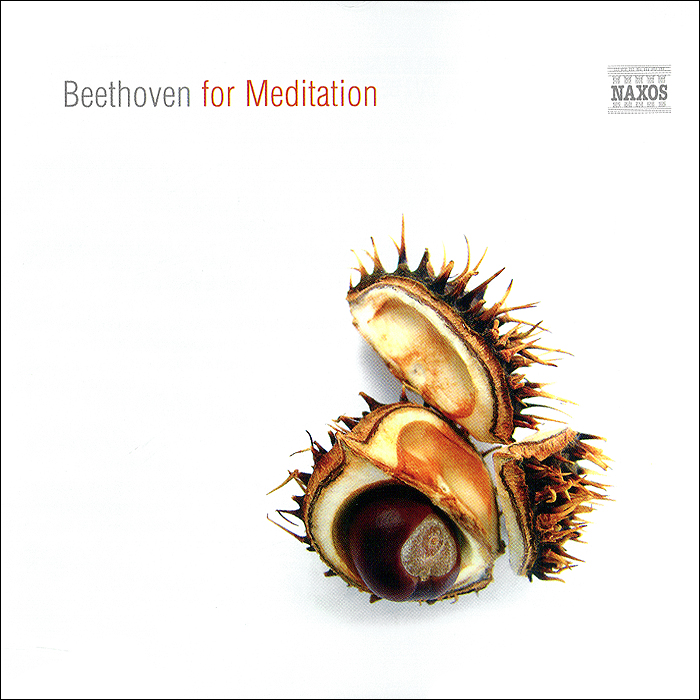 Beethoven For Meditation